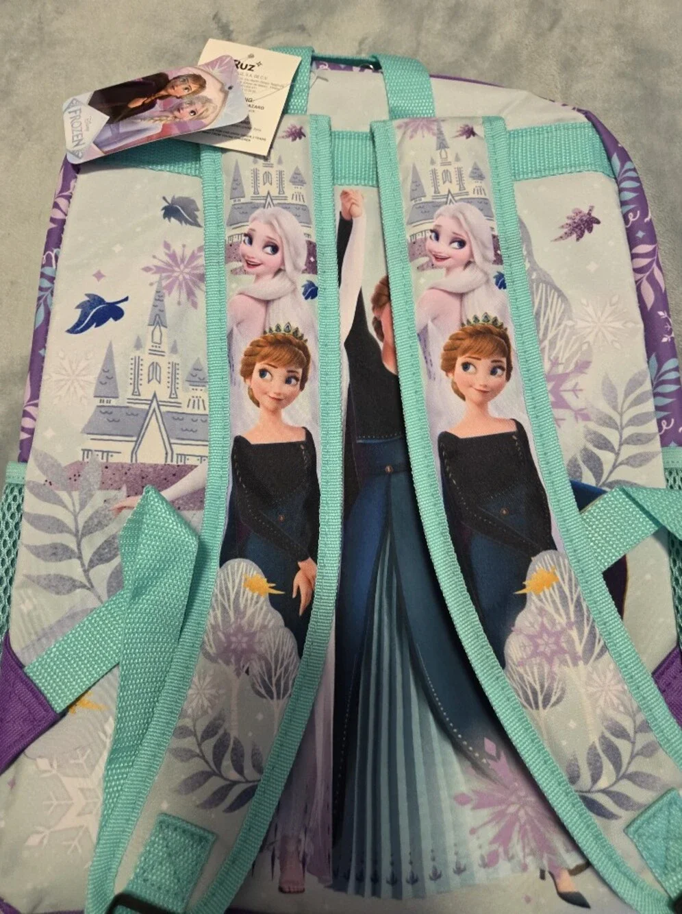 Frozen Backpack